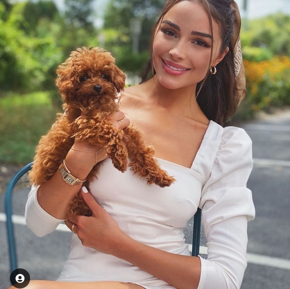 DANIELLE BERNSTEIN POPLIN PUFF SLEEVE DRESS, WHITE 4 (RUNS SMALL) - Picture 4 of 13